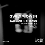 Artwork for "Basement In Chicago"