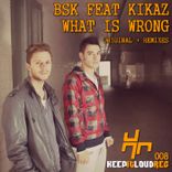 Artwork for "What Is Wrong"