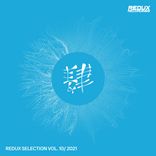 Portada para "Redux Selection Vol. 10 / 2021"