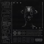 Artwork for "Wild Taurus"