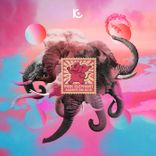Artwork voor "Pink Elephant"