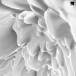 Artwork for "A New Kind (Olivier Giacomotto Remix)"