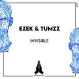 Artwork for "Invisible"