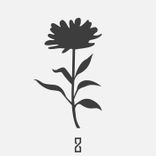 Artwork for "Deckard's Dream"