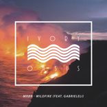 Portada para "Wildfire"