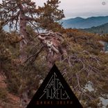 Artwork voor "Дикие Звери"