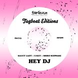 Portada para "Hey DJ"