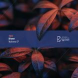 Artwork for "Multiverso EP"