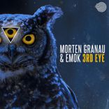 Artwork für "3rd Eye"