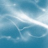 Portada para "Doubting the Hardness of the Spider, I eat the Nest"