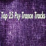Portada para "Top 25 Psy Trance Tracks"