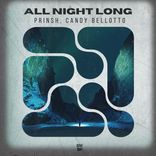 Artwork für "All Night Long"
