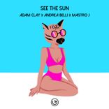 Artwork voor "See the Sun"