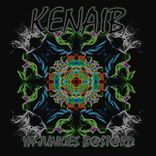 Artwork for "Ya Junkies Bastard"