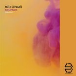 Artwork voor "Soulwax"