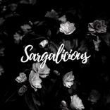 Portada para "Sargalicious 004"