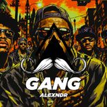Artwork für "Gang"