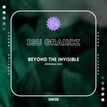 Artwork for "Beyond the Invisible"