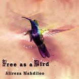 Artwork for "Free As A Bird"