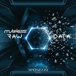 Artwork for "Raw Data"