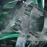 Artwork voor "Lost in the Shadows"