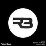 Artwork voor "Lost Mornings"