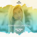 Portada para "Somebody Like You"
