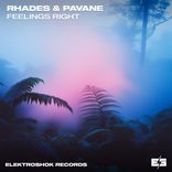 Artwork for "Feelings Right"