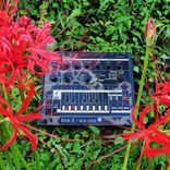 Artwork for "Acid 2020"