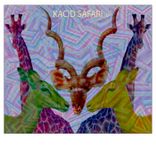 Artwork for "Kacid Safari"