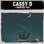 Artwork for "I Wanted You"