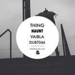 Artwork for "Haunt / Vaibla"