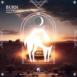 Portada para "Burn"