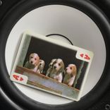 Artwork for "Band Of Dogs EP"