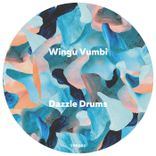 Artwork for "Wingu Vumbi"