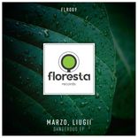 Artwork for "Dangerous EP"