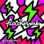 Artwork for "In a Flash, Vol. 5"