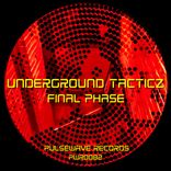 Artwork for "Final Phase"