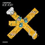 Artwork for "Ice Ice!"