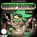 Dubstep Selection: Volume 1 (Continuous Mix)
