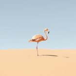 Artwork for "Flamingopolis"