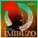 Artwork für "Imibuzo"