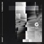 Artwork for "Turmoilism"