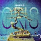 Artwork for "Bonsai"