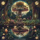 Reflection Of The Moon