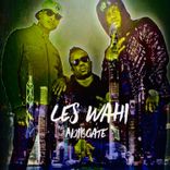 Artwork voor "Adigbate"