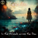 Artwork for "In the Woods & Across the Sea"