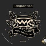 Artwork for "Bongolaboratory"