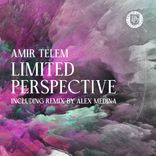 Artwork voor "Limited Perspective"