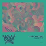 Artwork for "Shake It"